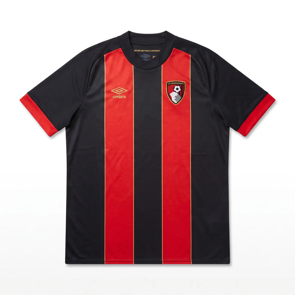 AFC Bournemouth 2024/25 Unsponsored Home Shirt - Front