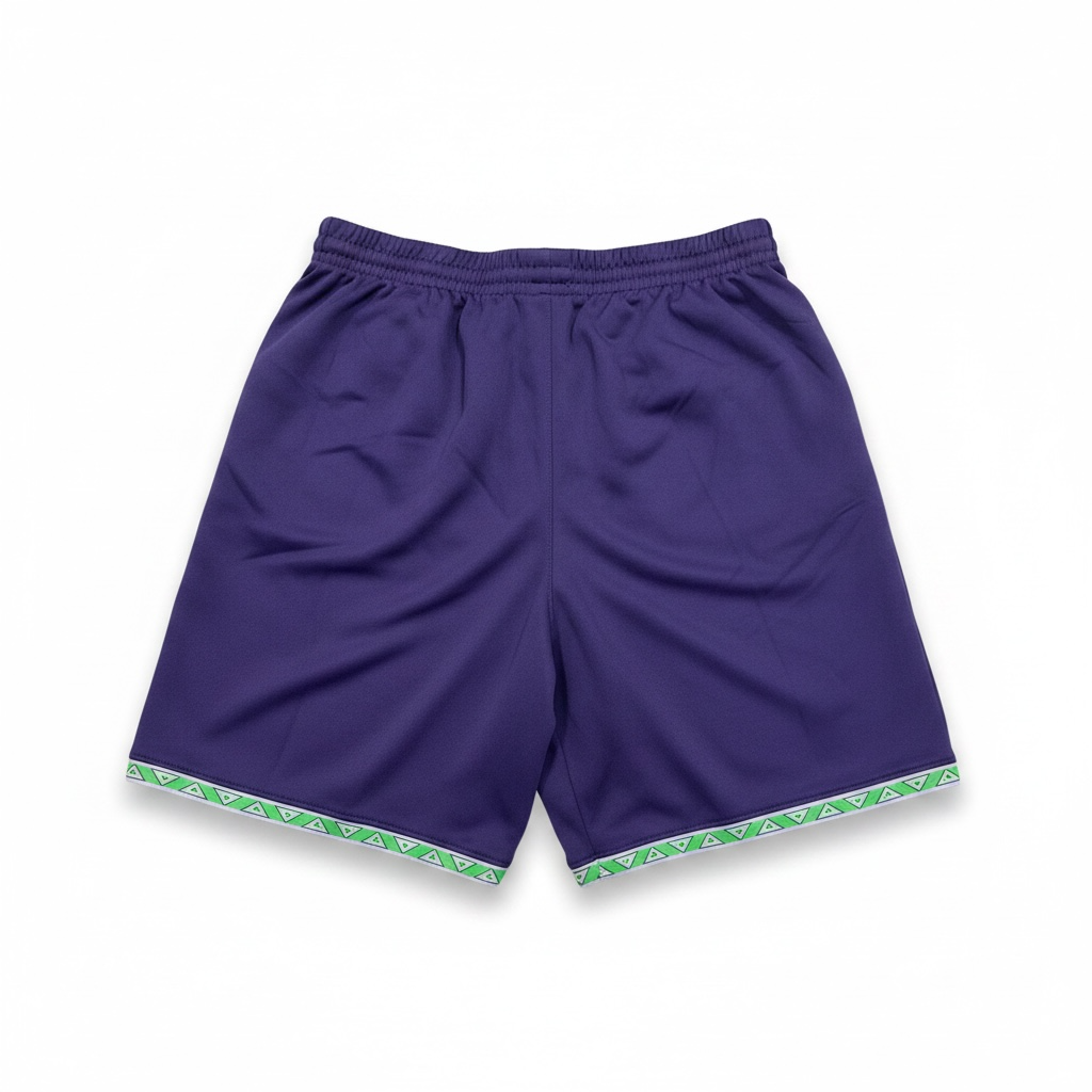 Hibernian 2024/25 Away Shorts back