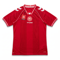 Denmark 2026 Home Football Shirt - front with tags