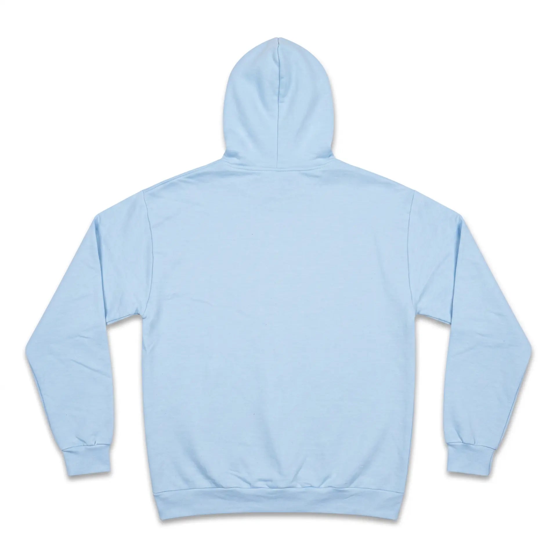 Brentford BEES Baby Blue Hoodie - Back