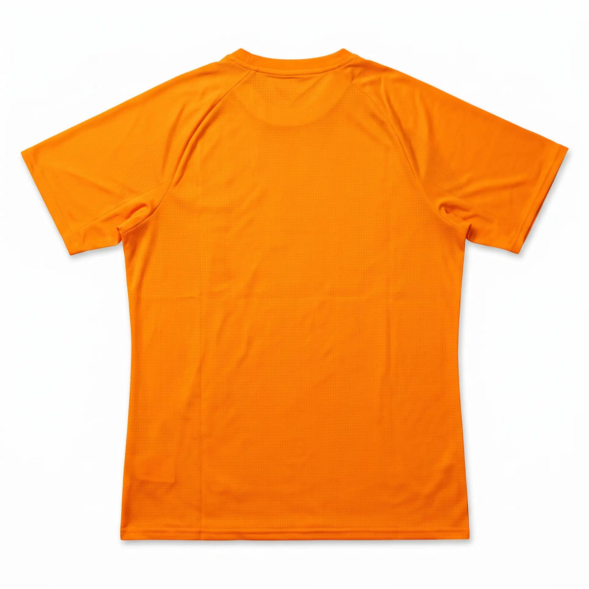 Manchester City Puma Pre Match Training Shirt - Back